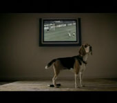 'Philips' PHILIPS FLAT TV (собака) бытовая техника